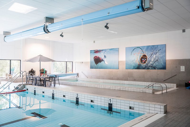 Konstverk föreställande en kvinna och abstrakta växter under vatten är upphängda ovanför den lilla bassängen i Edsbyns simhall.